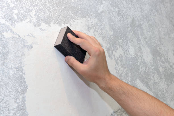 Reliable Lemmon Valley, NV Mold Removal Solutions