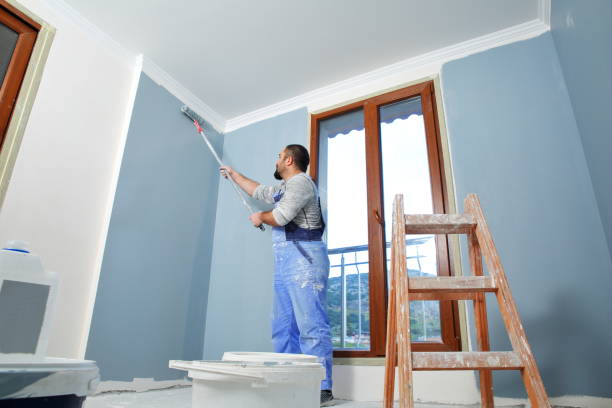  Lemmon Valley, NV Mold Removal Pros