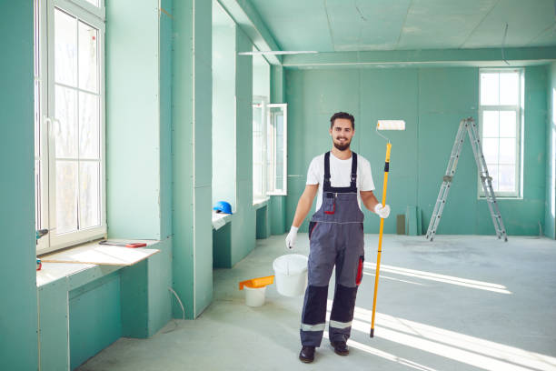 Best Attic Mold Removal  in Lemmon Valley, NV
