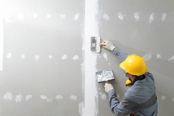 Best Mold Odor Removal Services  in Lemmon Valley, NV