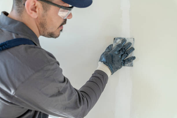 Mold Odor Removal Services in Lemmon Valley, NV