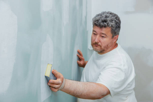 Best Comprehensive Air Testing for Mold Contaminants  in Lemmon Valley, NV