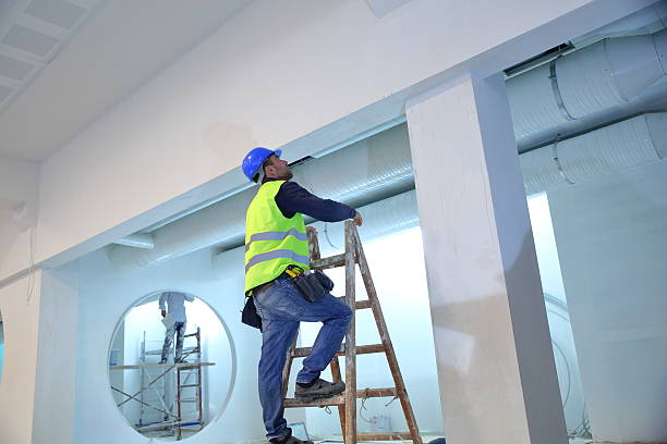 Best Forensic Mold Investigation  in Lemmon Valley, NV