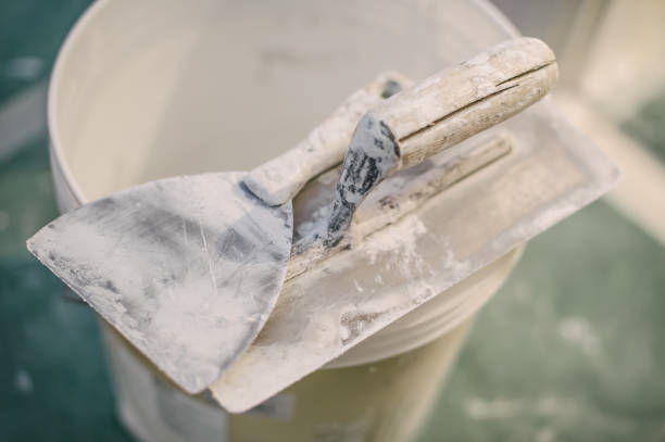 Best Airborne Mold Testing  in Lemmon Valley, NV